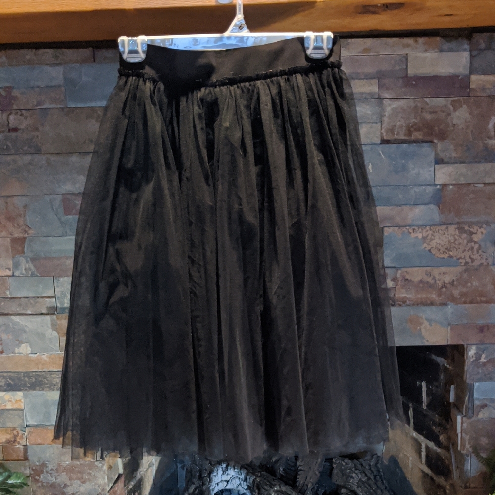 Young Adult Chic Black A-Line Tulle Skirt